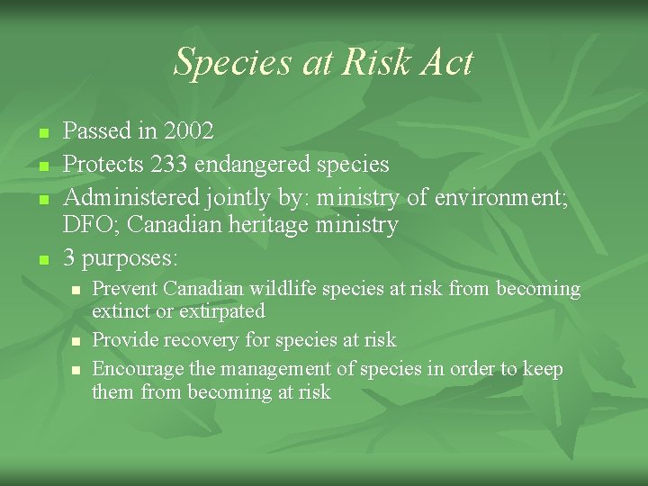 Species at Risk Act n n Passed in 2002 Protects 233 endangered species Administered