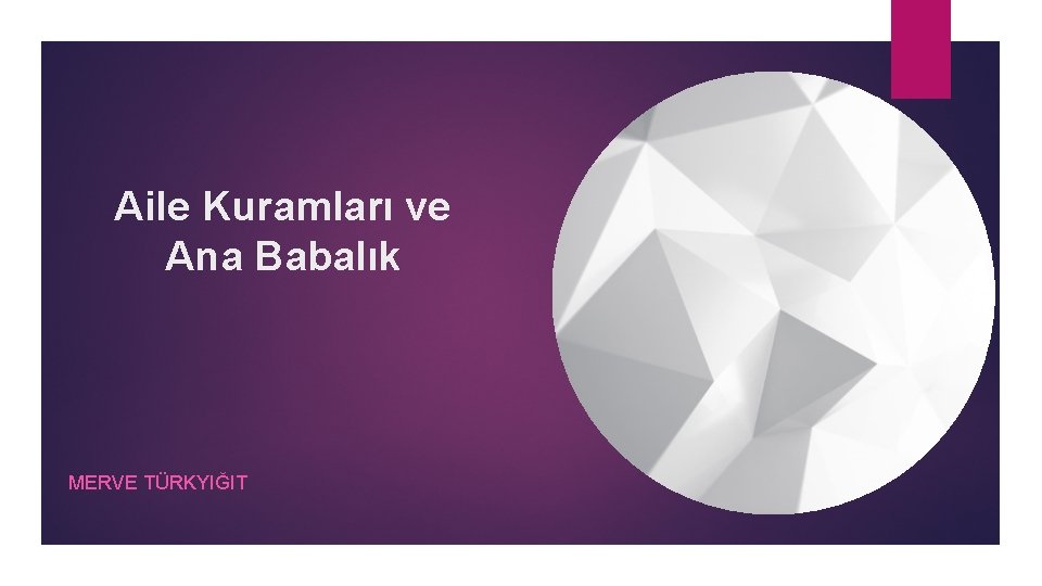 Aile Kuramları ve Ana Babalık MERVE TÜRKYIĞIT 