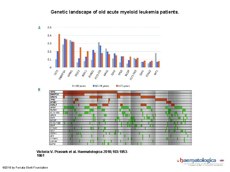 Genetic landscape of old acute myeloid leukemia patients. Victoria V. Prassek et al. Haematologica