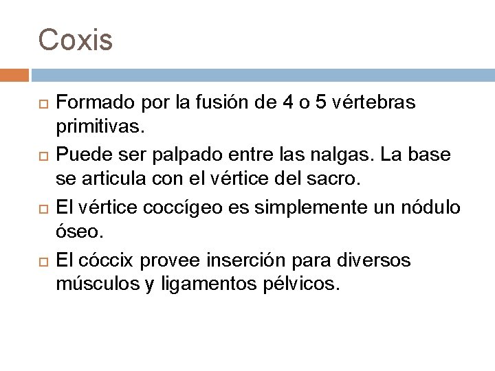 Coxis Formado por la fusión de 4 o 5 vértebras primitivas. Puede ser palpado