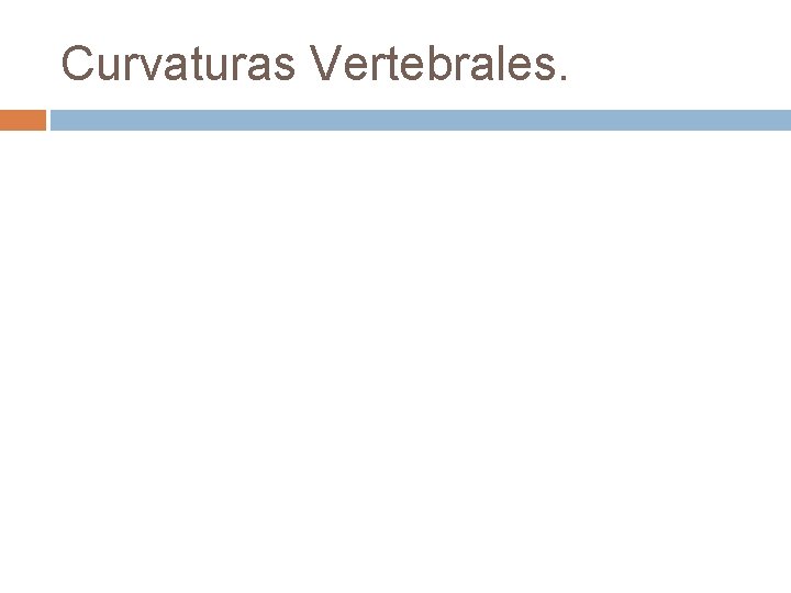 Curvaturas Vertebrales. 