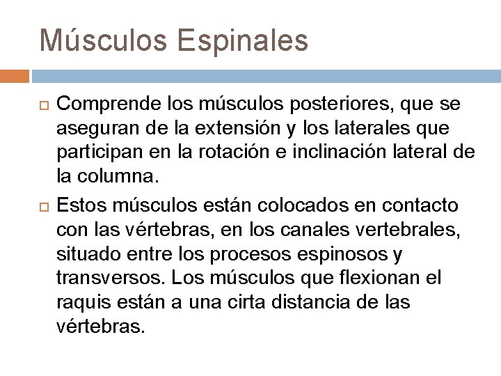 Músculos Espinales Comprende los músculos posteriores, que se aseguran de la extensión y los