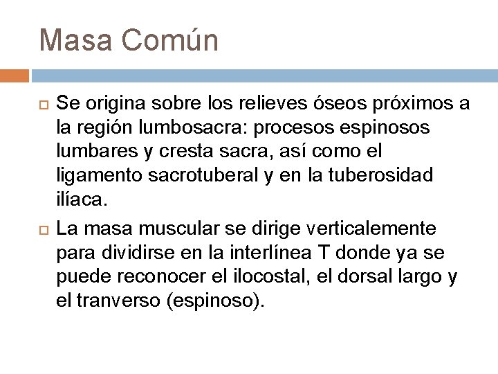 Masa Común Se origina sobre los relieves óseos próximos a la región lumbosacra: procesos