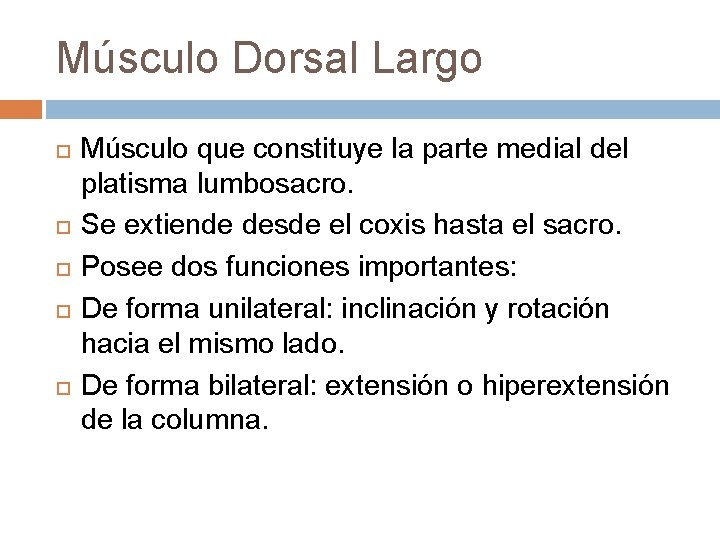 Músculo Dorsal Largo Músculo que constituye la parte medial del platisma lumbosacro. Se extiende