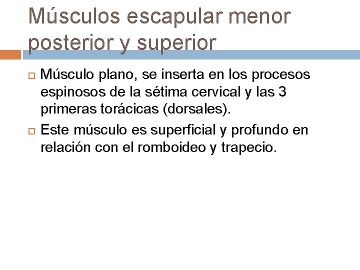 Músculos escapular menor posterior y superior Músculo plano, se inserta en los procesos espinosos