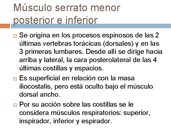 Músculo serrato menor posterior e inferior Se origina en los procesos espinosos de las