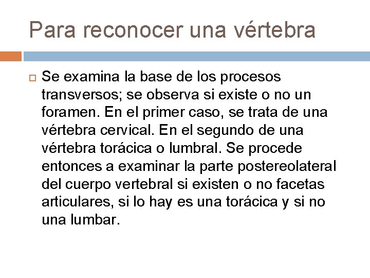 Para reconocer una vértebra Se examina la base de los procesos transversos; se observa