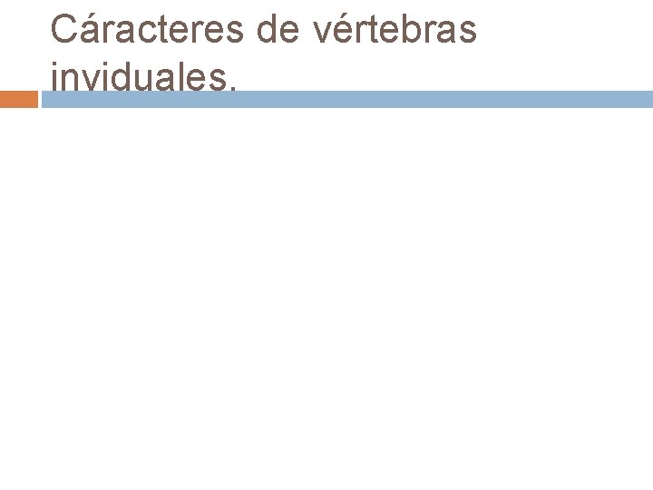 Cáracteres de vértebras inviduales. 