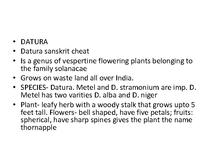  • DATURA • Datura sanskrit cheat • Is a genus of vespertine flowering