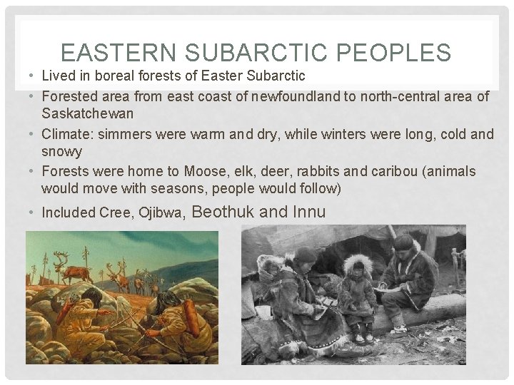 EASTERN SUBARCTIC PEOPLES • Lived in boreal forests of Easter Subarctic • Forested area