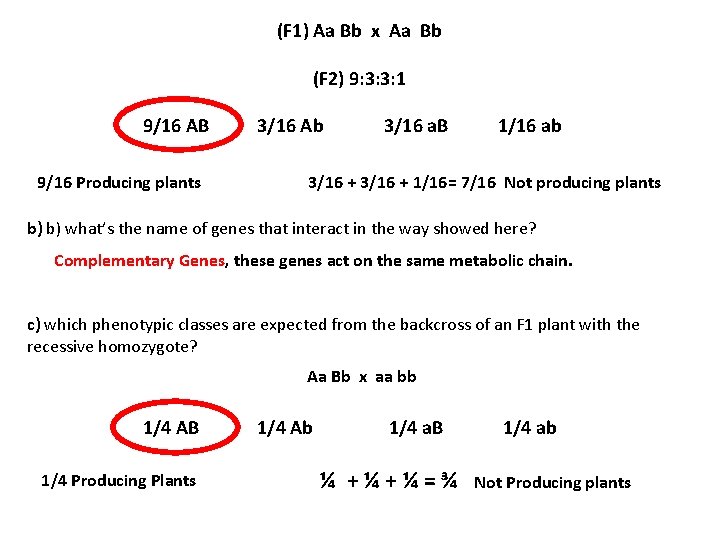 (F 1) Aa Bb x Aa Bb (F 2) 9: 3: 3: 1 9/16