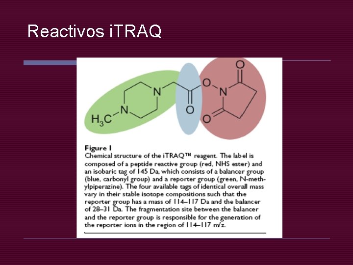 Reactivos i. TRAQ 