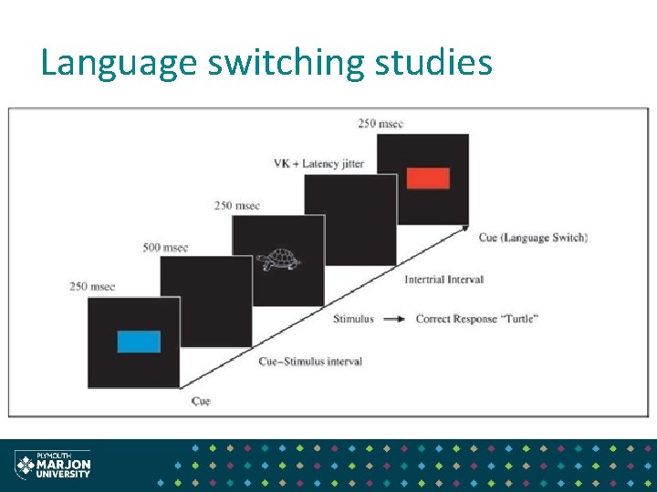 Language switching studies 