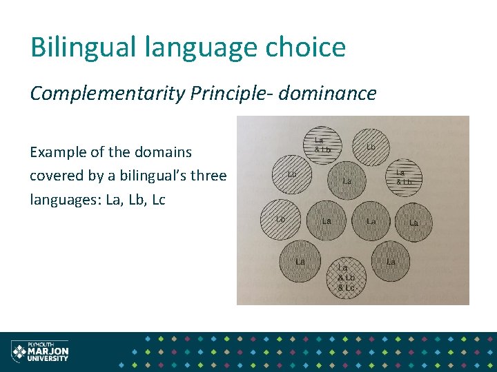 Bilingual language choice Complementarity Principle- dominance Example of the domains covered by a bilingual’s