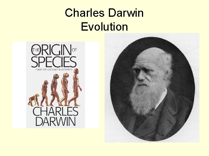 Charles Darwin Evolution 
