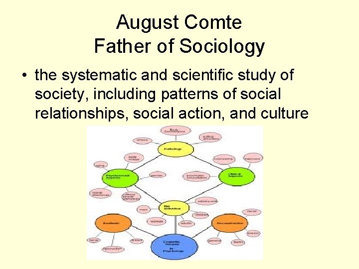 August Comte Father of Sociology • the systematic and scientific study of society, including