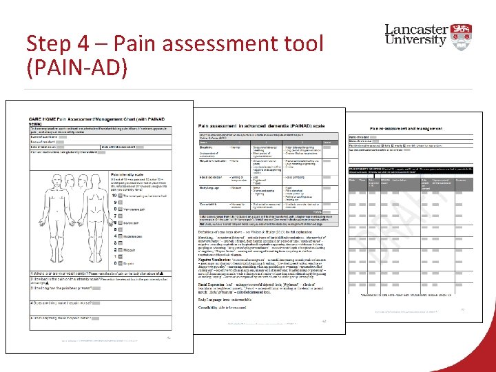 Step 4 – Pain assessment tool (PAIN-AD) 