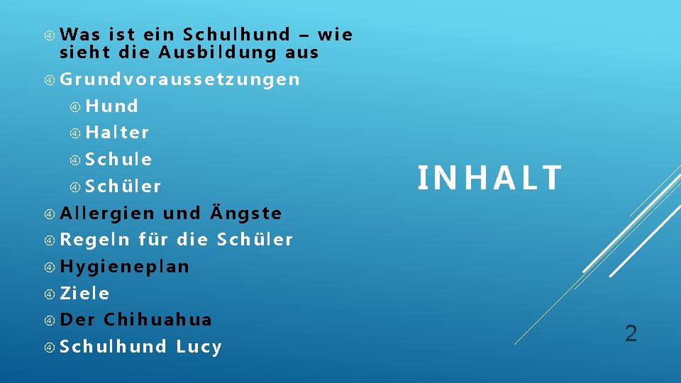  Was ist ein Schulhund – wie sieht die Ausbildung aus Grundvoraussetzungen Hund Halter