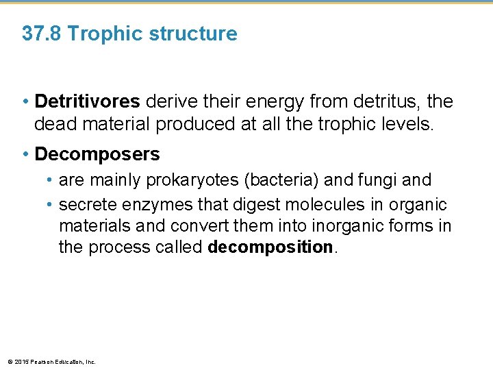 37. 8 Trophic structure • Detritivores derive their energy from detritus, the dead material 37. 8 Trophic structure • Detritivores derive their energy from detritus, the dead material