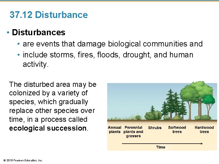 37. 12 Disturbance • Disturbances • are events that damage biological communities and • 37. 12 Disturbance • Disturbances • are events that damage biological communities and •