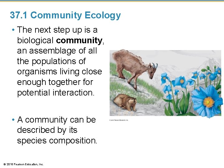 37. 1 Community Ecology • The next step up is a biological community, an 37. 1 Community Ecology • The next step up is a biological community, an