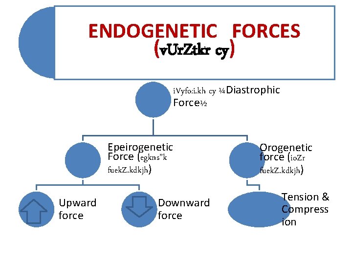 ENDOGENETIC FORCES (v. Ur. Ztkr cy) i. Vyfo: i. kh cy ¼Diastrophic Force½ Epeirogenetic