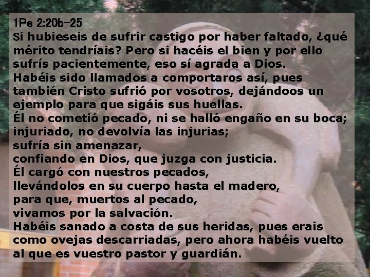 1 Pe 2: 20 b-25 Si hubieseis de sufrir castigo por haber faltado, ¿qué 1 Pe 2: 20 b-25 Si hubieseis de sufrir castigo por haber faltado, ¿qué