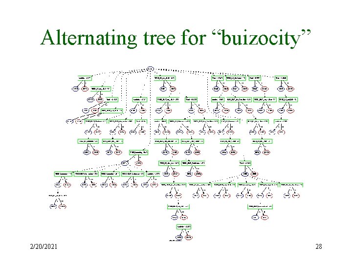 Alternating tree for “buizocity” 2/20/2021 28 