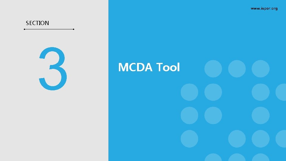 SECTION 3 MCDA Tool SECTION 3 MCDA Tool