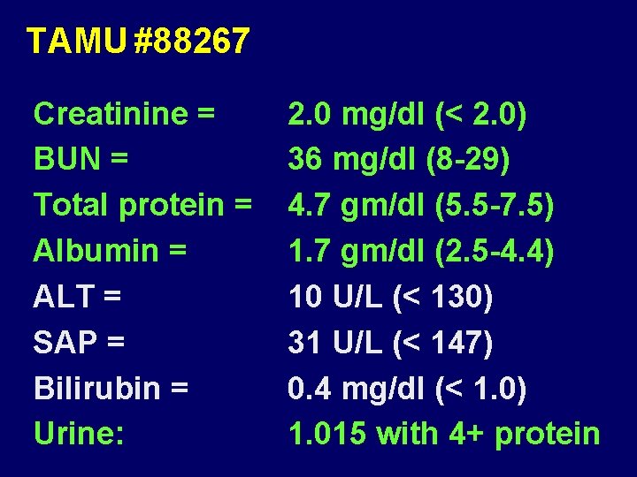 TAMU #88267 Creatinine = BUN = Total protein = Albumin = ALT = SAP