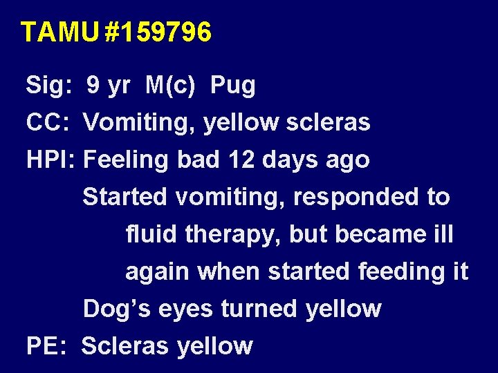 TAMU #159796 Sig: 9 yr M(c) Pug CC: Vomiting, yellow scleras HPI: Feeling bad