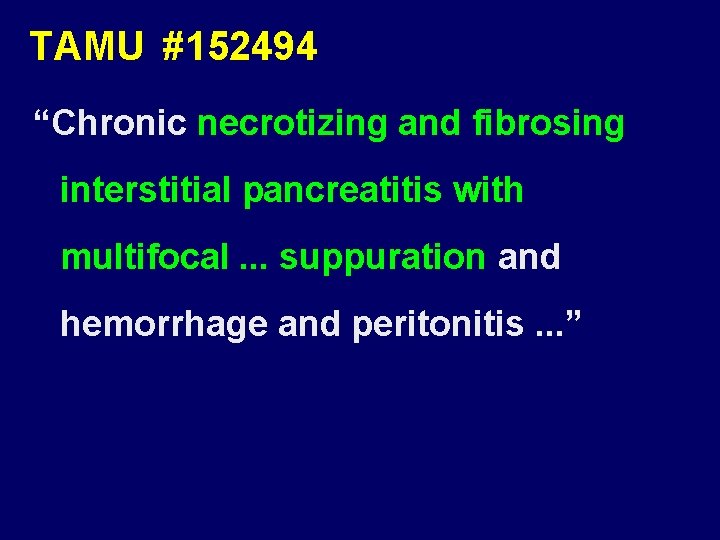 TAMU #152494 “Chronic necrotizing and fibrosing interstitial pancreatitis with multifocal. . . suppuration and