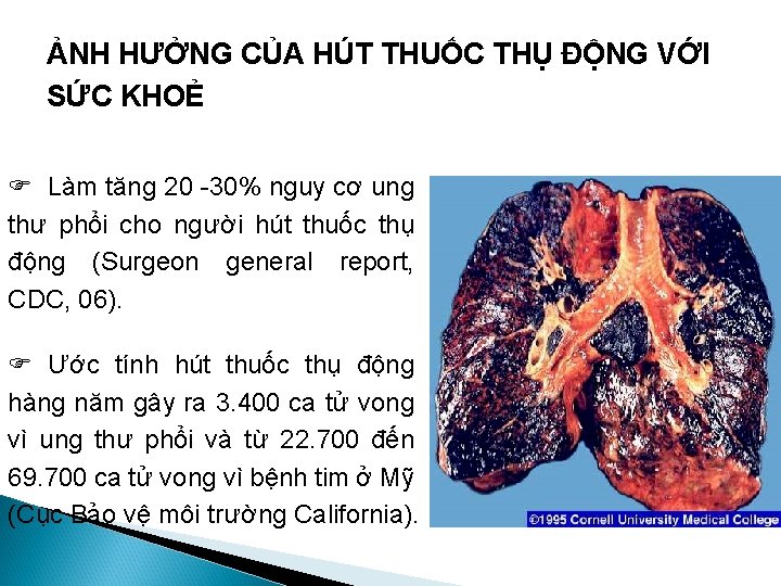 ẢNH HƯỞNG CỦA HÚT THUỐC THỤ ĐỘNG VỚI SỨC KHOẺ F Làm tăng 20