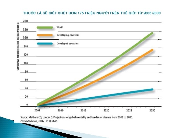 THUỐC LÁ SẼ GIẾT CHẾT HƠN 175 TRIỆU NGƯỜI TRÊN THẾ GIỚI TỪ 2005