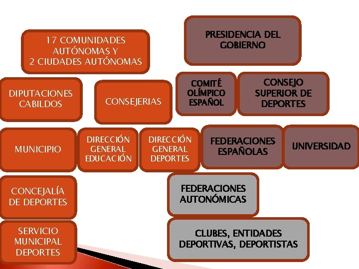 PRESIDENCIA DEL GOBIERNO 17 COMUNIDADES AUTÓNOMAS Y 2 CIUDADES AUTÓNOMAS DIPUTACIONES CABILDOS MUNICIPIO CONCEJALÍA