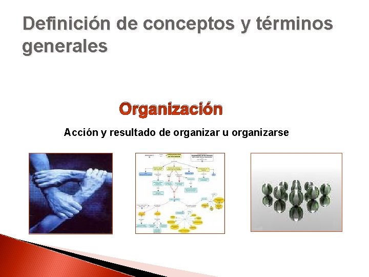 Definición de conceptos y términos generales Organización Acción y resultado de organizar u organizarse