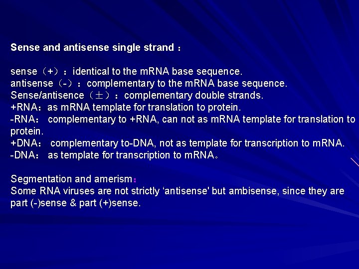 Sense and antisense single strand ： sense（+）：identical to the m. RNA base sequence. antisense（-）：complementary