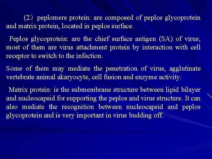 (2）peplomere protein: are composed of peplos glycoprotein and matrix protein, located in peplos surface.