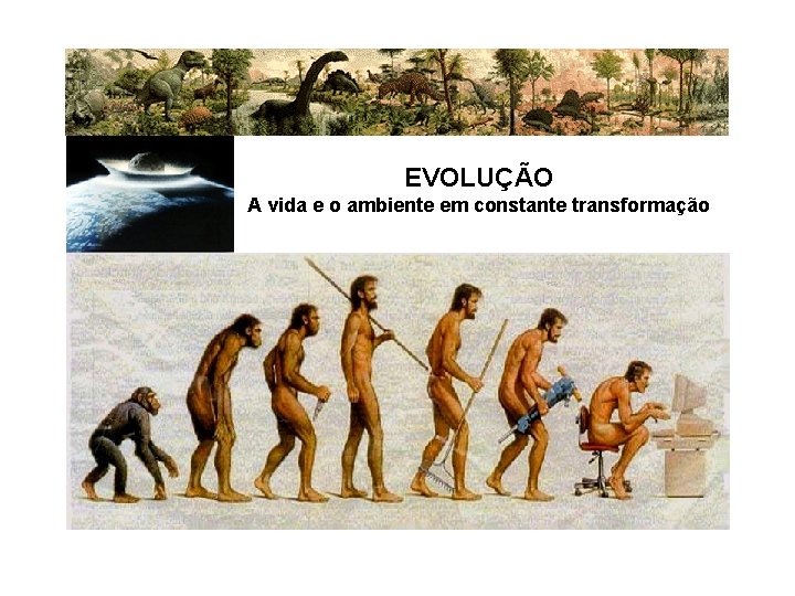 EVOLUÇÃO A vida e o ambiente em constante transformação 