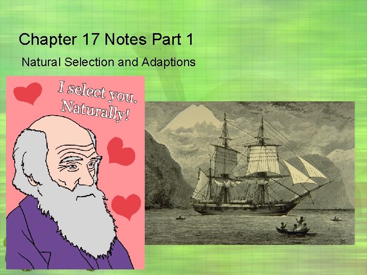 Chapter 17 Notes Part 1 Natural Selection and Adaptions 
