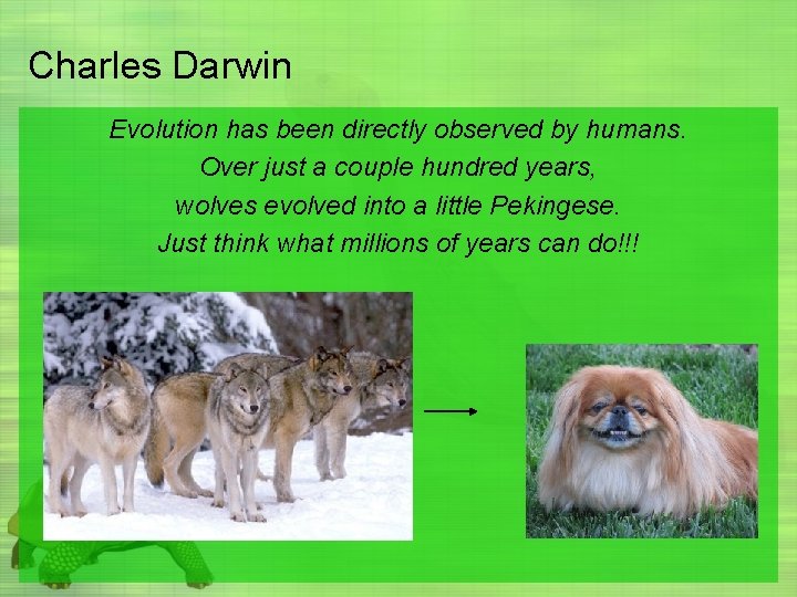 Charles Darwin Evolution has been directly observed by humans. Over just a couple hundred