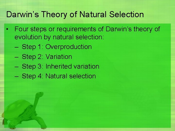 Darwin’s Theory of Natural Selection • Four steps or requirements of Darwin’s theory of