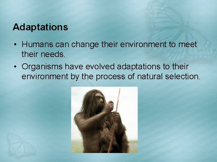 Adaptations • Humans can change their environment to meet their needs. • Organisms have