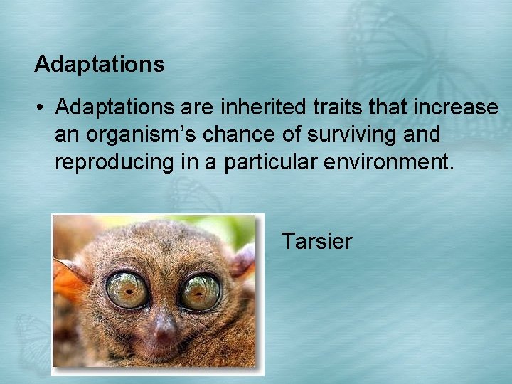 Adaptations • Adaptations are inherited traits that increase an organism’s chance of surviving and