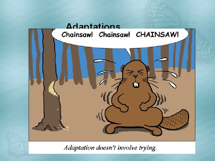 Adaptations 