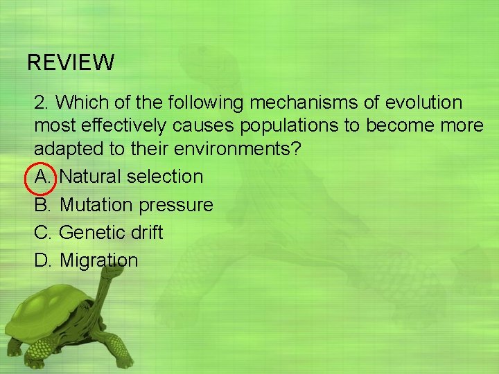 REVIEW 2. Which of the following mechanisms of evolution most effectively causes populations to