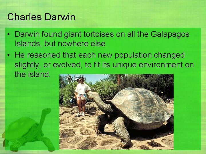 Charles Darwin • Darwin found giant tortoises on all the Galapagos Islands, but nowhere