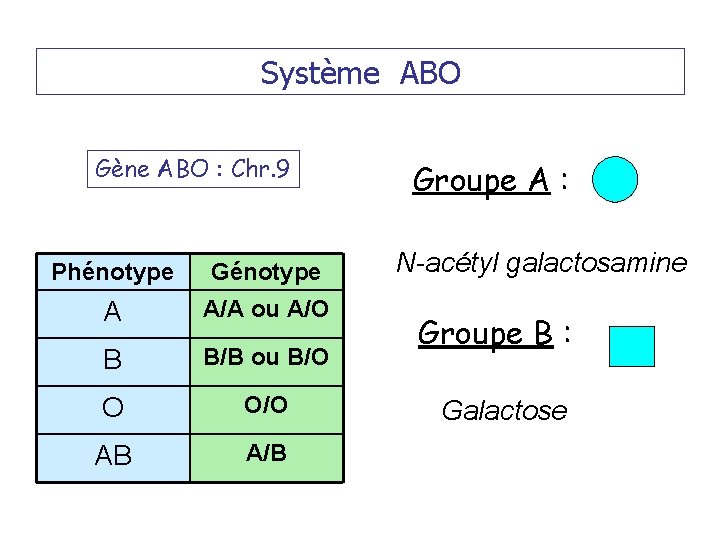 Système ABO Gène ABO : Chr. 9 Phénotype Génotype A A/A ou A/O B