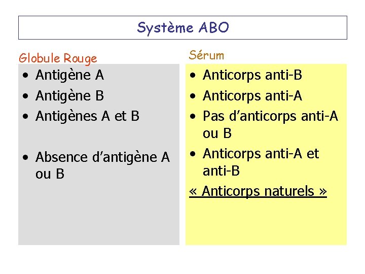 Système ABO Globule Rouge • Antigène A • Antigène B • Antigènes A et