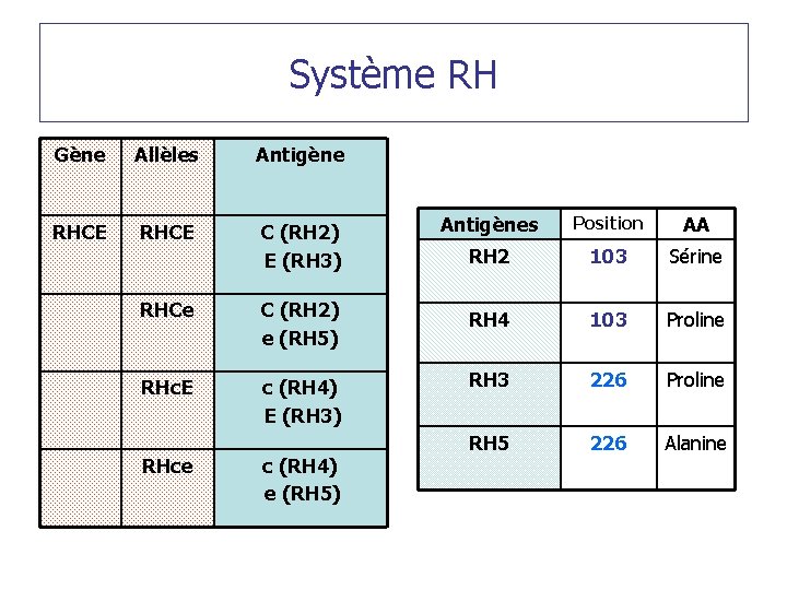 Système RH Gène Allèles Antigène RHCE C (RH 2) E (RH 3) Antigènes Position